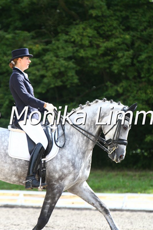 009M4931_Morgaine le Fay_Dressur Mxx.JPG